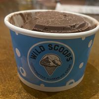Kincaid coconut chocolate  at Wild Scoops - Benson Blvd in Anchorage