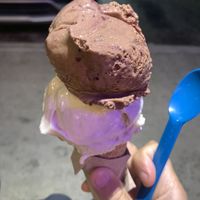 vegan ice cream   at Wild Scoops - Benson Blvd in Anchorage