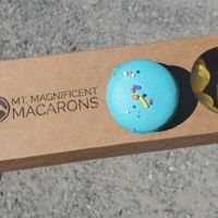 Vegan birthday cake & lemon flavors at Mt. Magnificent Macarons in Eagle River