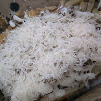 Truffle fries. at 13th Element in Nottingham