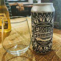 Vegan beer!  at 13th Element in Nottingham