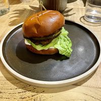   at 13th Element in Nottingham