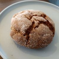 Chai & Brown Sugar cookie at The Coffee Factory in Muskegon