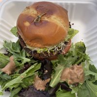   at Cafe Metropole in Santa Catalina Island