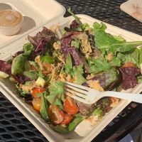   at Cafe Metropole in Santa Catalina Island