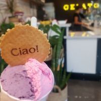  at Yume Gelato in Sacramento