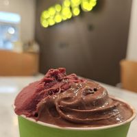 Vegan Chocolate Heaven & Vegan Berries in the Woods at Yume Gelato in Sacramento