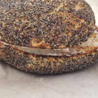 Eat me! Poppy w/V cheese at Hank's Bagels in Burbank