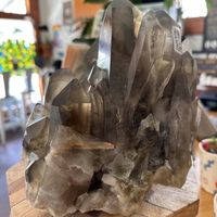   at Buena Onda Cafe in St Augustine