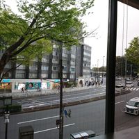 The view to the outside is also great at Vegan Bistro Jangara in Tokyo