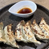 Gyoza  at Vegan Bistro Jangara in Tokyo