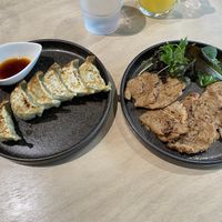 Gyoza and grilled soy meat  at Vegan Bistro Jangara in Tokyo