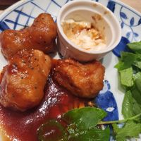 Buffalo chicken with dip at Vegan Bistro Jangara in Tokyo