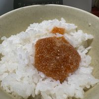   at Vegan Bistro Jangara in Tokyo