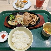 Juju grill and gyozas  at Vegan Bistro Jangara in Tokyo