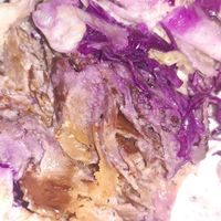 Seitan durum at Good Shit, Vegan Kebabs in Barcelona