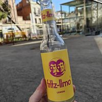 Loved that that have Fritz at Good Shit, Vegan Kebabs in Barcelona