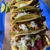 All the tacos  at Taquería Vegana La Gata Negra in Cancun