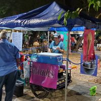 Vegan ice cream, handmade! at Taquería Vegana La Gata Negra in Cancun