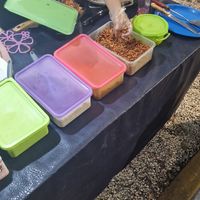 Taco stand at Taquería Vegana La Gata Negra in Cancun