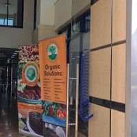 at Soul Veg(etária)  in Nairobi
