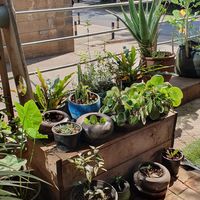  at Soul Veg(etária)  in Nairobi