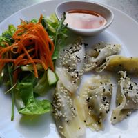 Dumplings at Loving Hut - Fredenborgsveien in Oslo