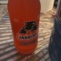   at Stefano's Diner in Toronto