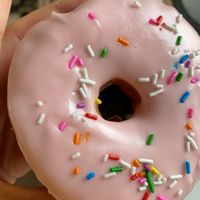 Halo Donuts “homer” vegan donut at Halo Donuts in Moncton
