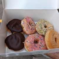 Vegan doughnuts at Halo Donuts in Moncton