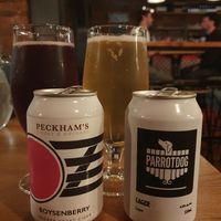 Drinks at Nolita in Wellington