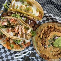   at Terror Tacos in St Louis