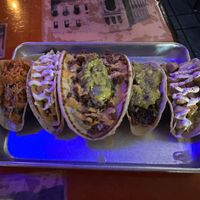   at Terror Tacos in St Louis