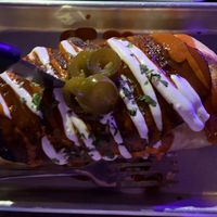 nocturnal heartburn burrito!  at Terror Tacos in St Louis