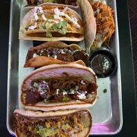   at Terror Tacos in St Louis