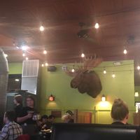 Dead animal wall decor at Golden West Cafe in Baltimore