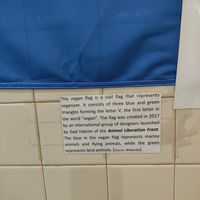  at Eliza's Vegan Café in Florence