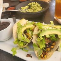 Vegan Tacos! at Iron Cactus in San Antonio