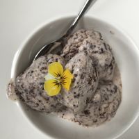 Stracciatella ice cream at Kasvio in Utrecht