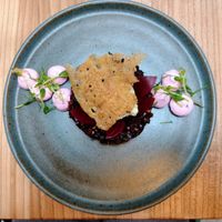  at Kasvio in Utrecht