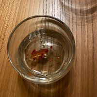  at Kasvio in Utrecht