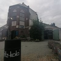  at Kasvio in Utrecht