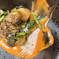   at Kasvio in Utrecht