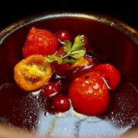   at Kasvio in Utrecht