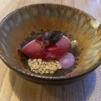 Pre-dessert with vossenbessen sorbet, ginger cookie crumble and tonic gel. Very good!  at Kasvio in Utrecht