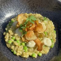   at Kasvio in Utrecht