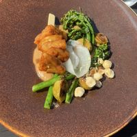   at Kasvio in Utrecht