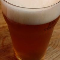 IPA at Pizzatopia in Wroclaw