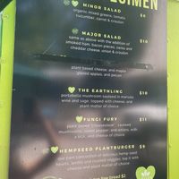Vegan and non vegan options  at Outer Limits - Food Truck in Eureka Springs