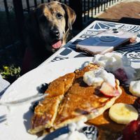   at Earth Cafe in Myrtle Beach